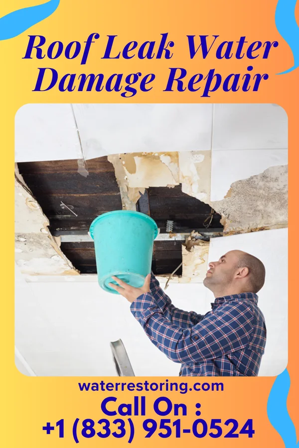 Roof Leak Water Damage Repair in Gorham, IL